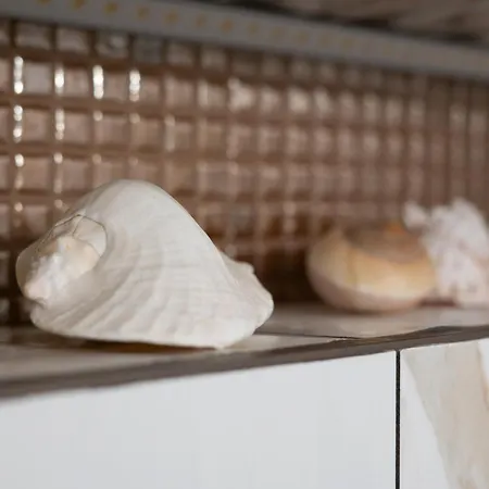 Thomas's Cozy With Breakfast شقة بيران